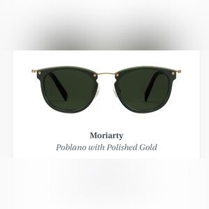 Warby Parker Moriarty Poblano Sunglasses